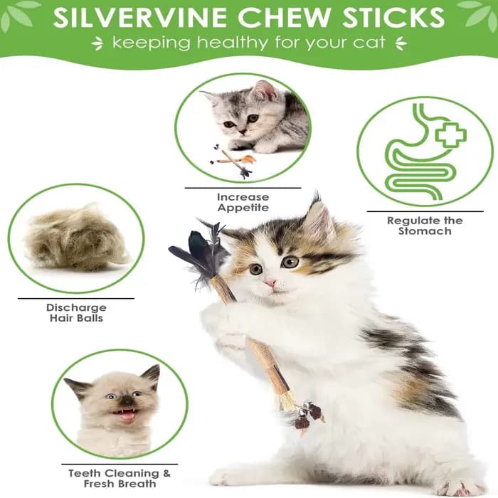 Silvervine Bâtons à mâcher pour chat