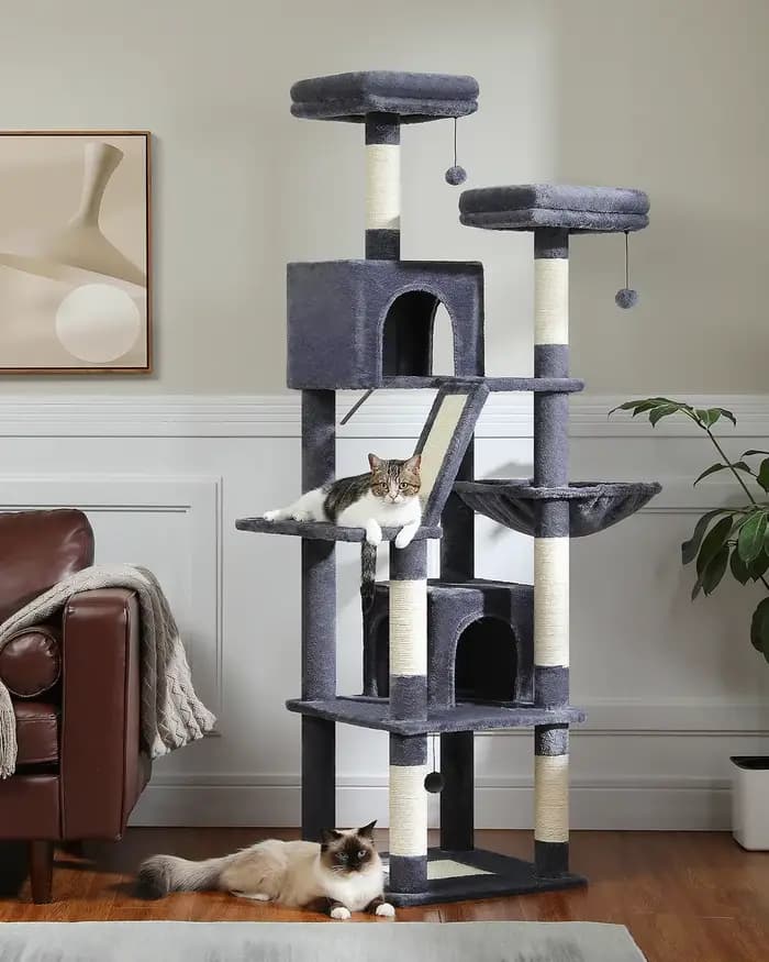 Grand arbre à chat pour intérieur