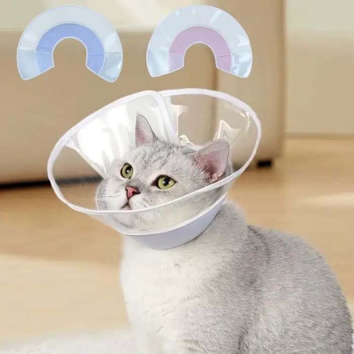Collier de récupération transparent pour chat