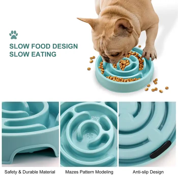 Bol d'alimentation lente pour chien de compagnie