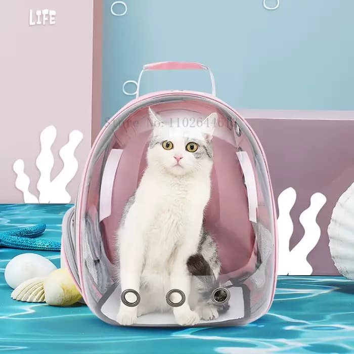 Sacs de Transport pour chats