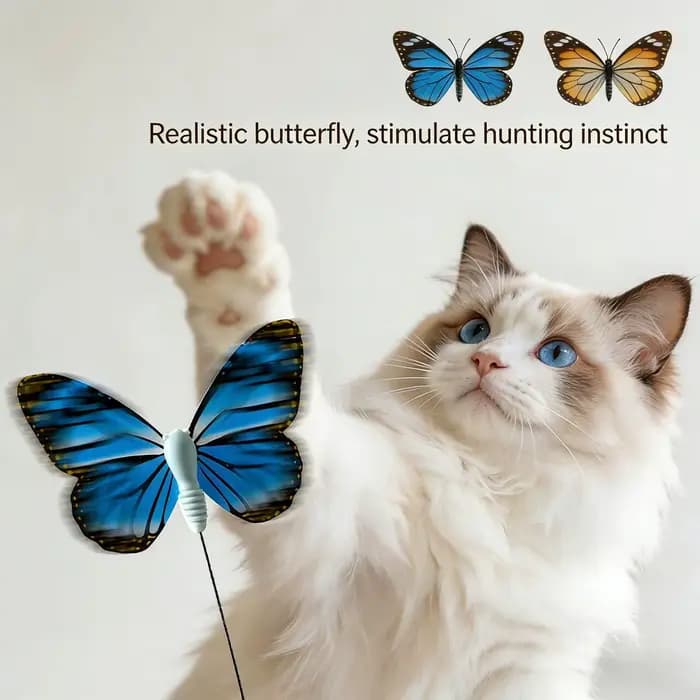 Jouet électrique papillon volant pour chat