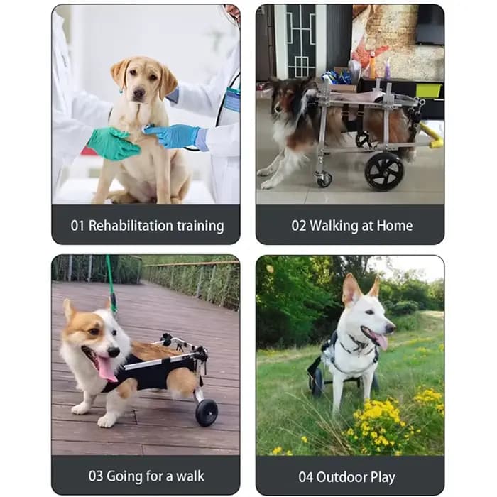 HarNISSAN-Poussette à quatre roues pour animaux de compagnie, accessoires d'entraînement pour chiots, pattes de chien, tout pour handicap, fournitures pour chiots, accessoire de comportement