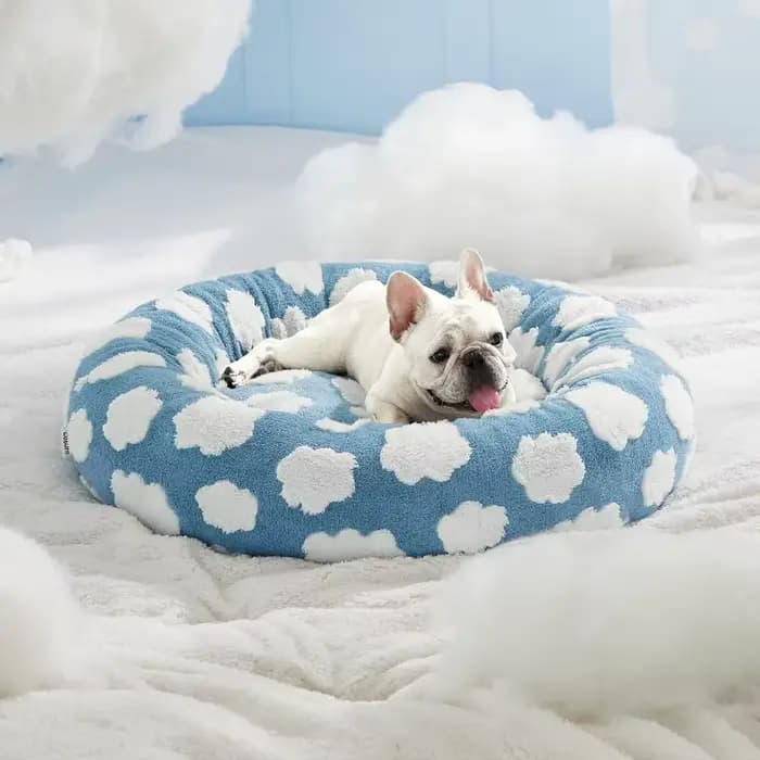 Litière pour chien, litière pour chat