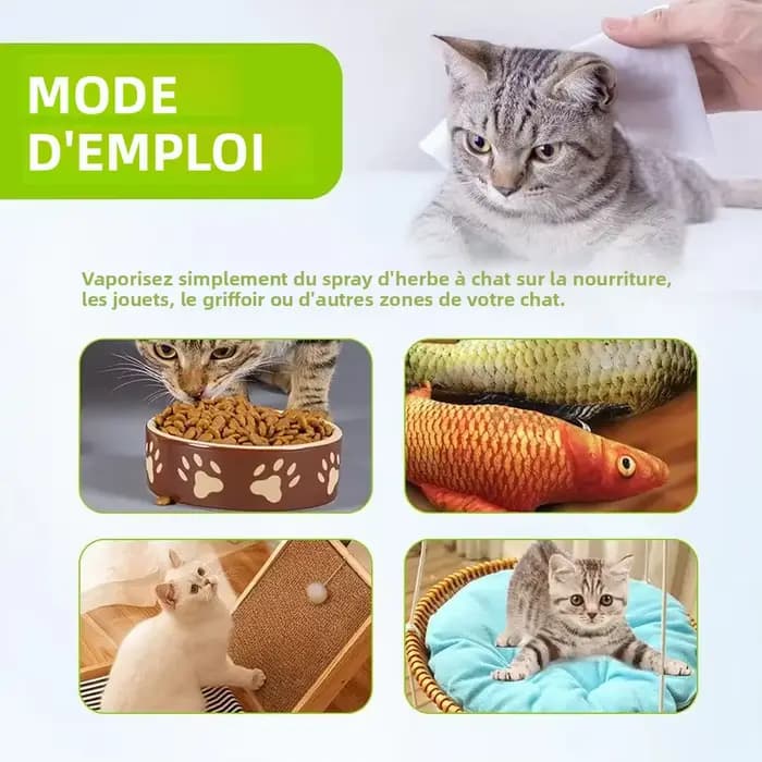 Spray Apaisant à la Menthe pour Chat – Soulagement de l'Anxiété