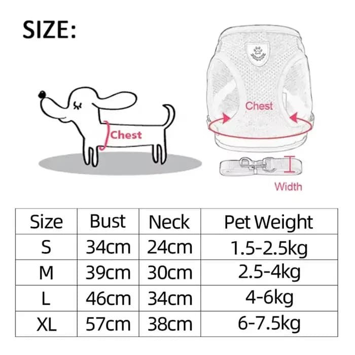 Laisse en plomb en polyester réglable pour animal de compagnie