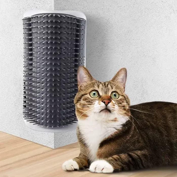 Nouveau grattoir d'angle pour chat