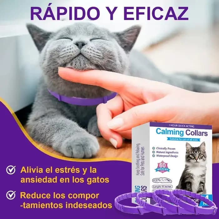 Collier anti-anxiété pour chat - Lot de 4 - Agent calmant naturel - Désodorisant pour soulager le stress et les comportements agressifs - Tension réglable