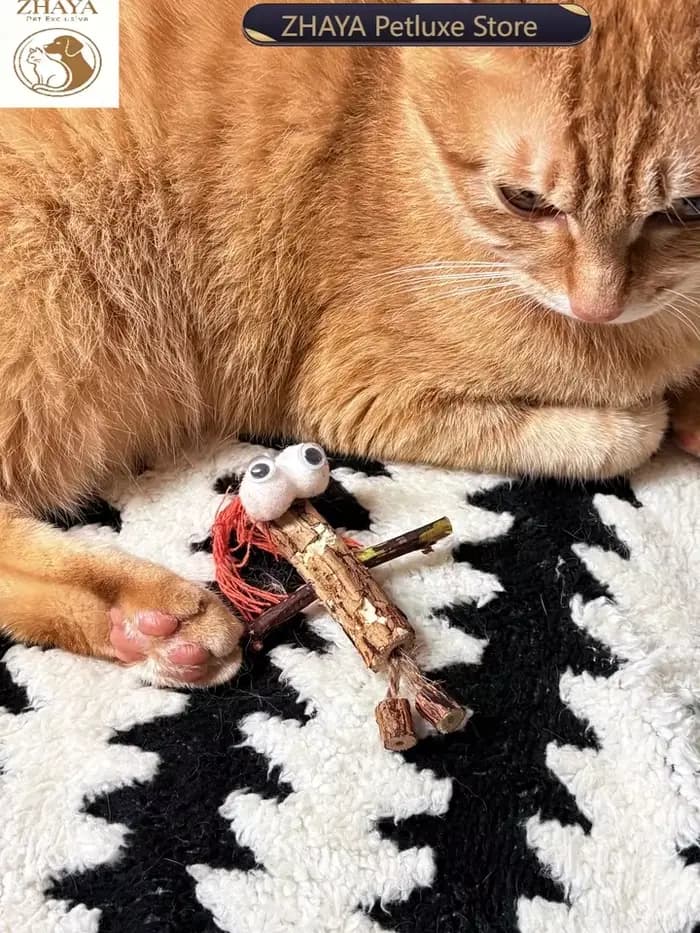 Jouet interactif en bois ZHAYA Silvervine pour chat