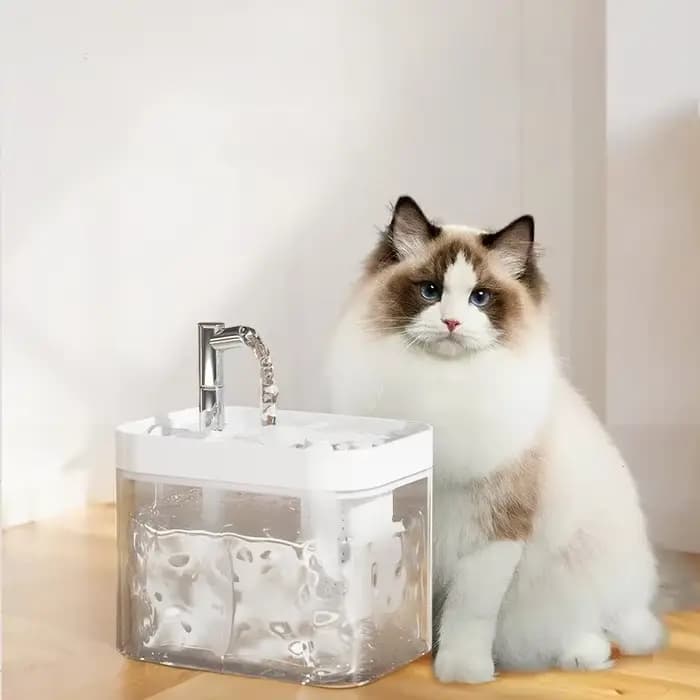 Fontaine à eau pour chat de 1,5 L, filtre à recirculation automatique, grande capacité, distributeur d'eau pour chat, USB, électrique, silencieux