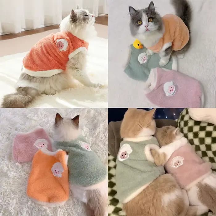 Pull en peluche lapin pour chaton et chat âgé