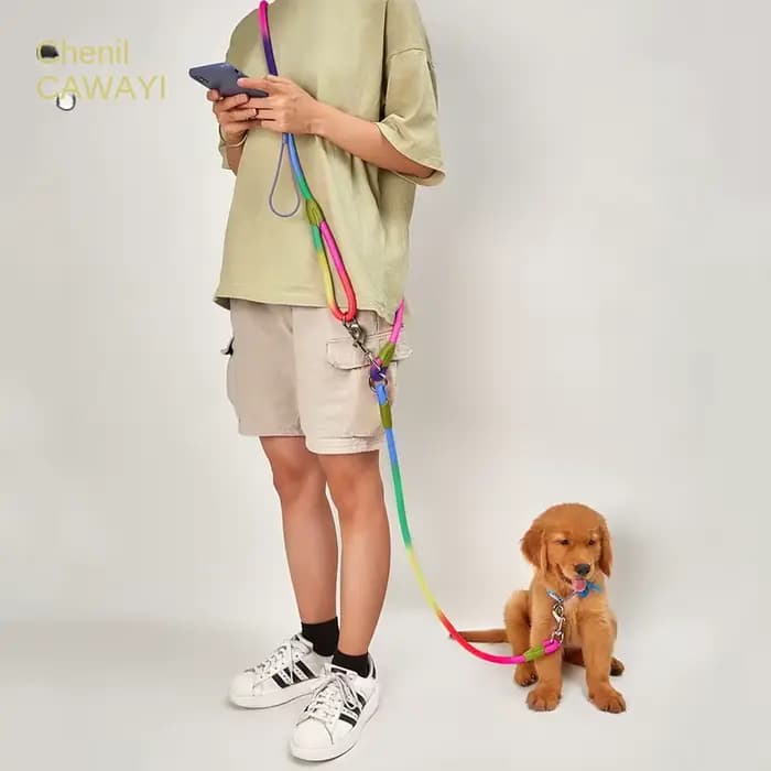 CAWAYI KENNEL Laisse en Nylon Réfléchissant pour Chien