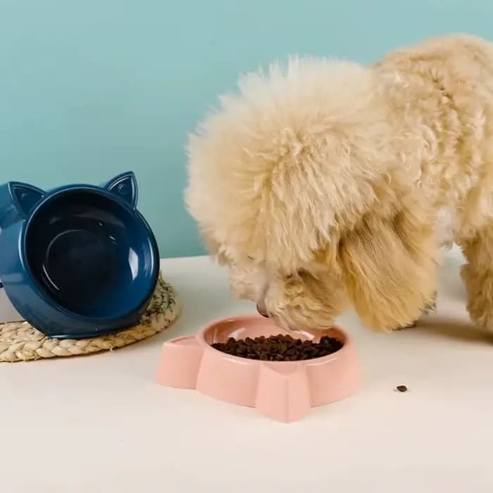 Bol pour chat en forme de chat mignon