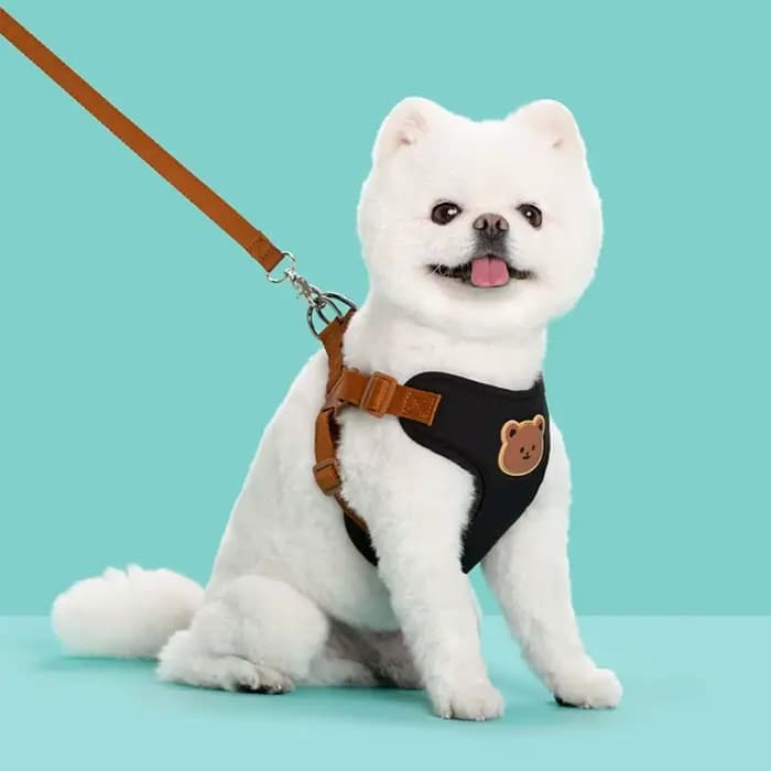 Harnais créatif et mignon pour animaux de compagnie