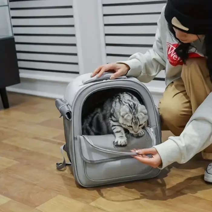 Grand sac à dos pour animaux de compagnie