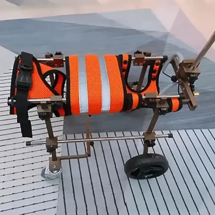HarNISSAN-Poussette à quatre roues pour animaux de compagnie, accessoires d'entraînement pour chiots, pattes de chien, tout pour handicap, fournitures pour chiots, accessoire de comportement