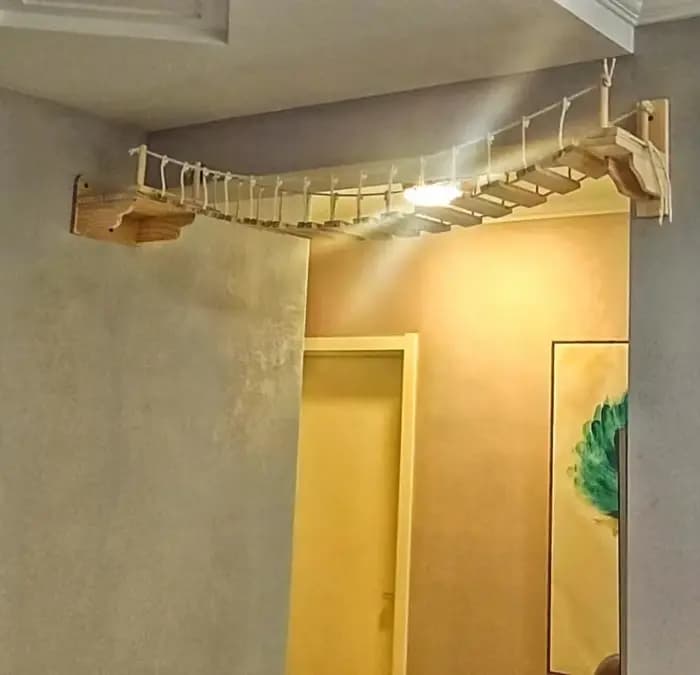 Pont mural pour chat, arbre pour animaux de compagnie
