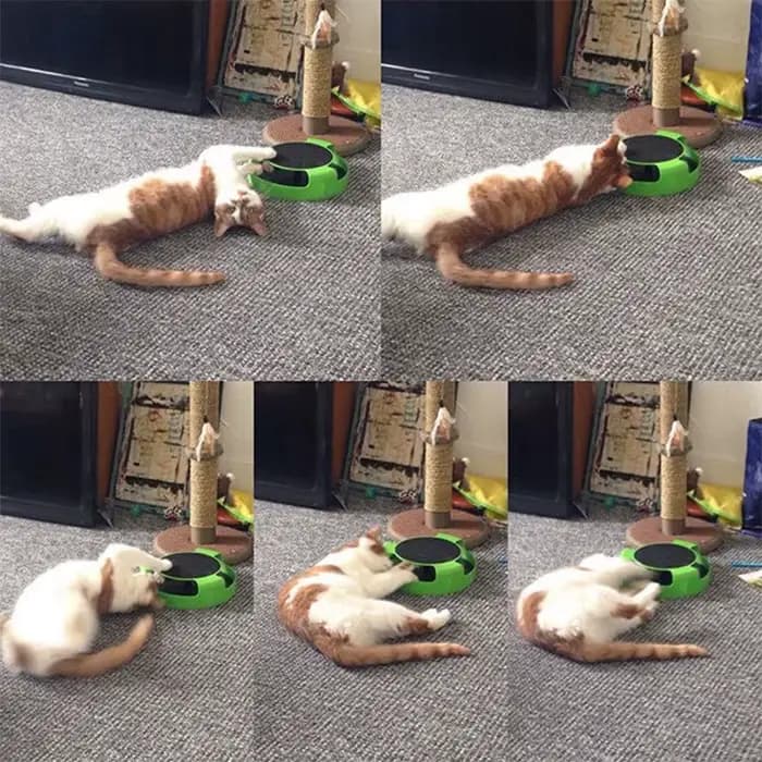 Jouet pour chat plateau tournant souris jouets interactif Intelligence piste d'entraînement jeux drôles chat griffoir jouet jouets pour animaux de compagnie accessoires