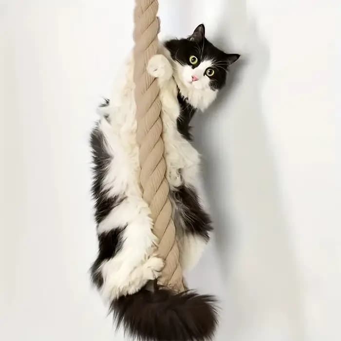 Gratte-chat mural – Corde de Jute épaisse
