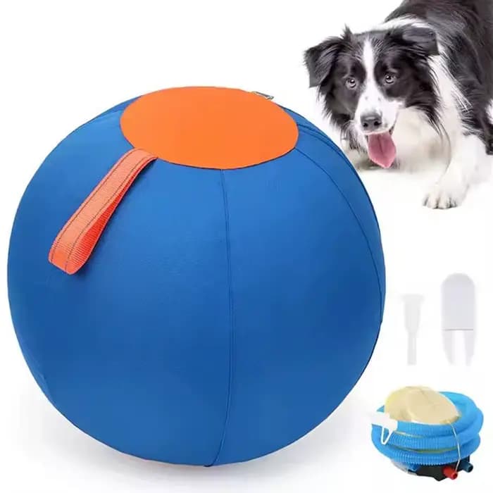 Balle de hérisson pour animaux de compagnie