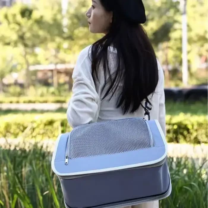 Sac à main Portable pour sortie d'animaux de compagnie