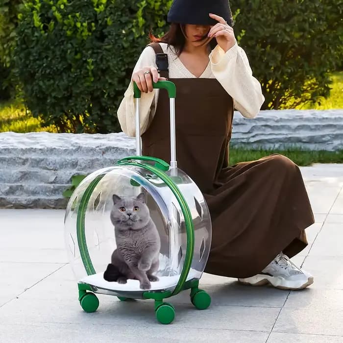 Chariot valise transporteur Transparent sac de transport pour animaux de compagnie chats transporteurs et poussettes