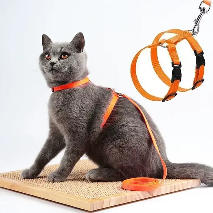 Ensemble harnais pour chat avec laisse et collier