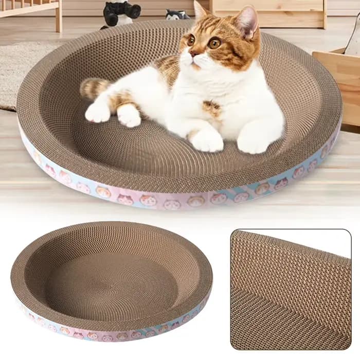 Planche à gratter ronde pour chat
