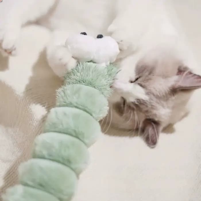 Jouets à mâcher interactifs pour chat Caterpillar Design