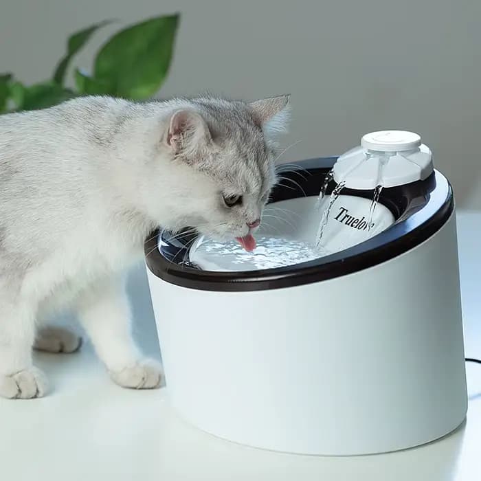 Truelove fontaine d'eau pour animaux de compagnie