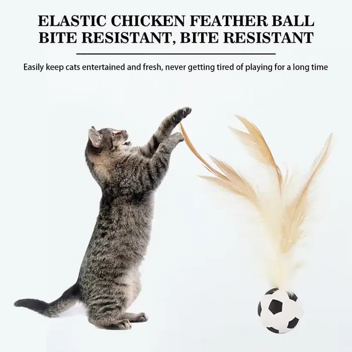 Balle interactive auto-amusante pour chat, balle rebondissante en plumes d'intérieur, balle de flutter pour animaux de compagnie à rebond élevé, accessoires pour animaux de compagnie