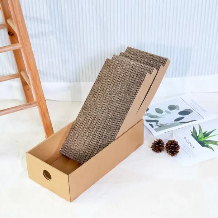 Lot de 4 boîtes en carton pour griffoir de chat pour chats d'intérieur