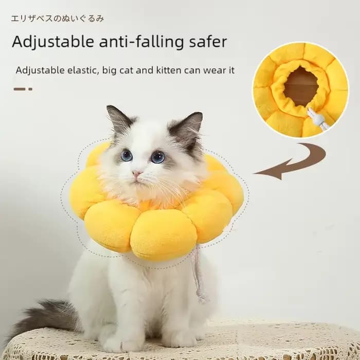 Collier de protection pour animaux de compagnie