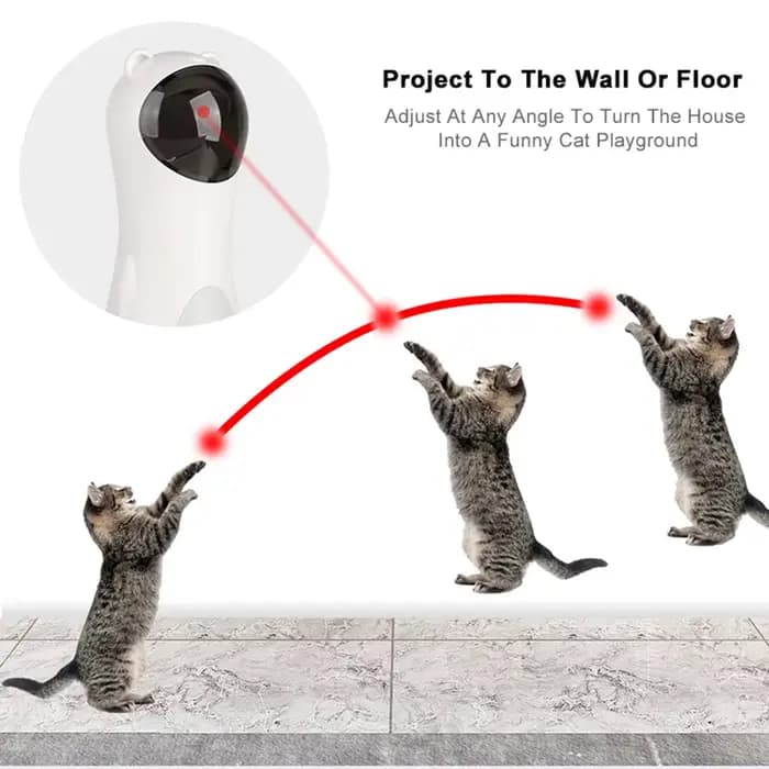Jouet coule laser LED multi-angles pour chat