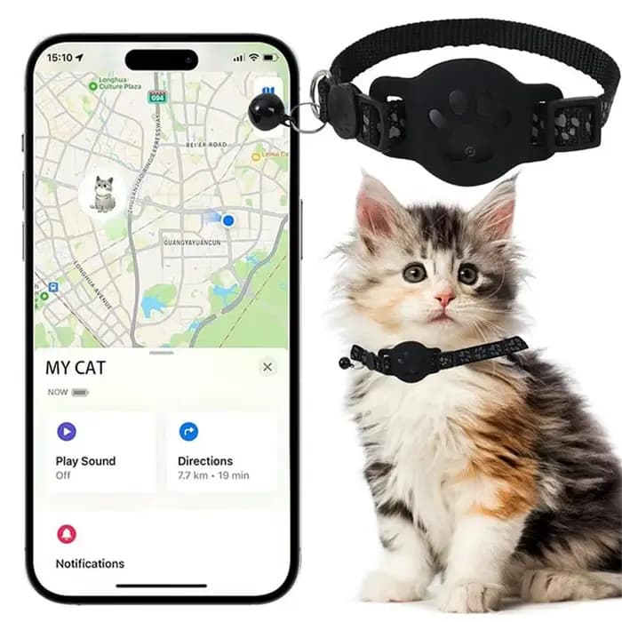 Collier localisateur pour chat