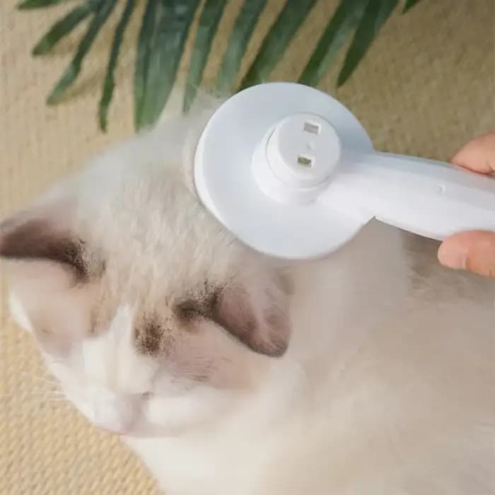 Brosse de nettoyage des poils de chat