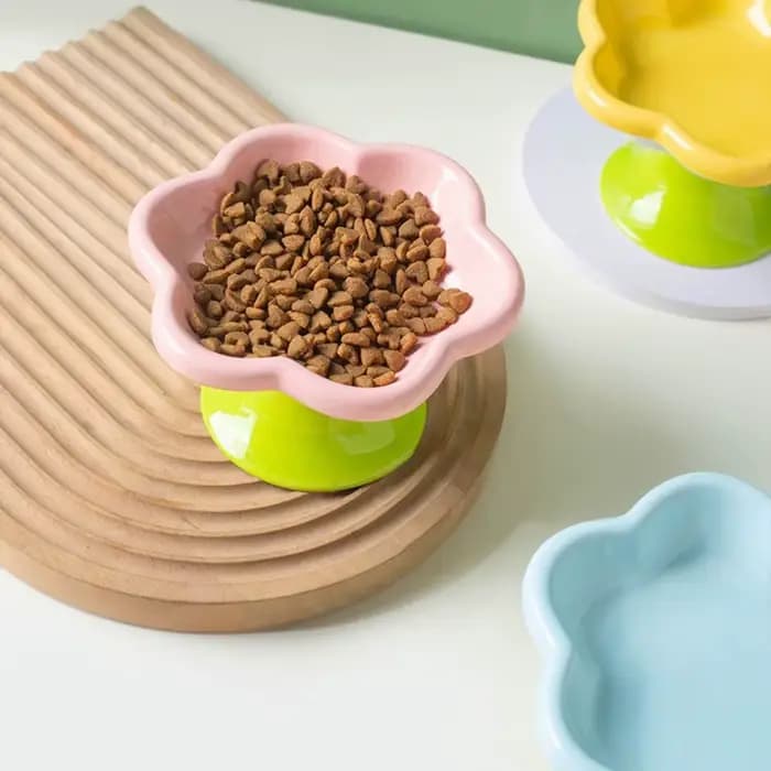 Gamelle en céramique pour chat avec support