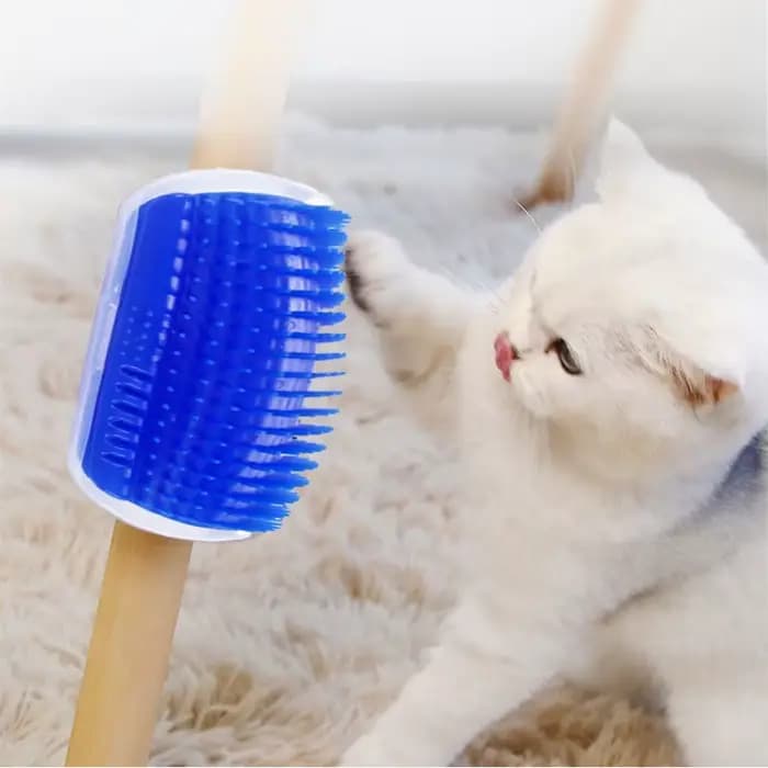 Nouveau grattoir d'angle pour chat