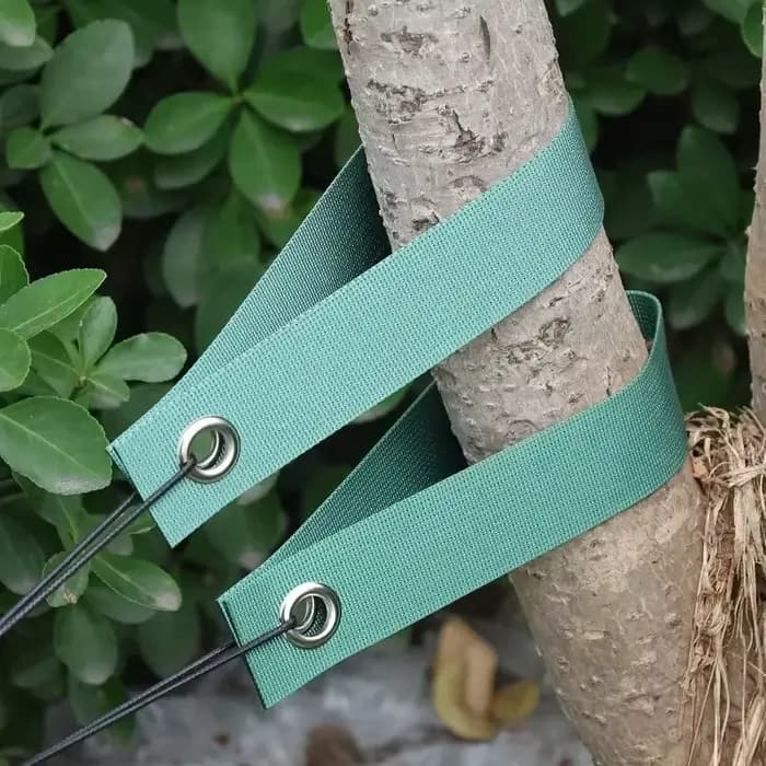Sangles de support d'arbres (20/1 pièce) – Fixation des branches, protection anti-vent, outils de redressement, ceinture en nylon pour plantes, accessoires de jardin