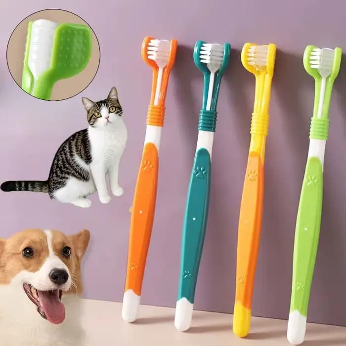 Brosse à dents de nettoyage pour animaux de compagnie