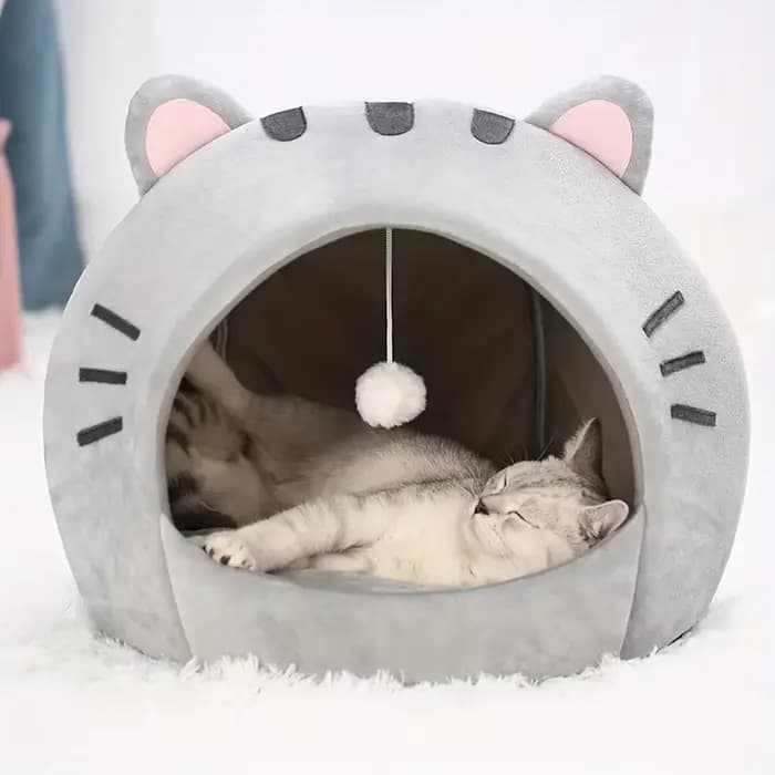 Lit pour chat de dessin animé