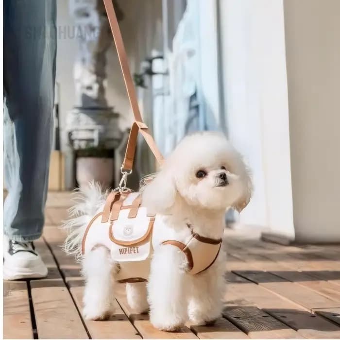 Sac de transport Portable pour animaux de compagnie