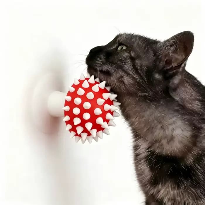 Brosse de toilettage pour chat