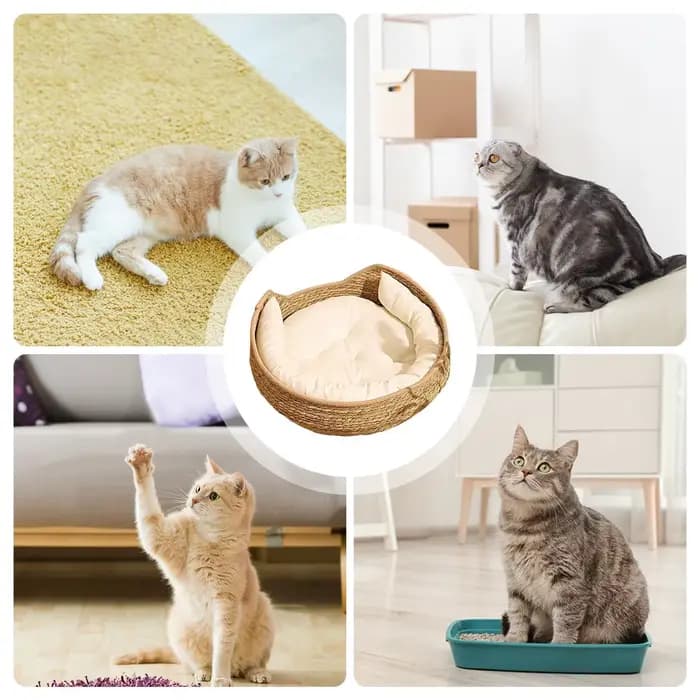 Panier rond pour chat en corde de coton tressée