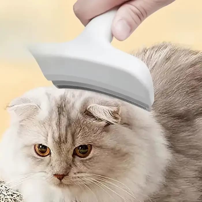 Brosse démêlante pour chiens et chats, outil de toilettage pour l'élimination des poils morts, pour chiots et chatons, râteau démêlant pour animaux de compagnie