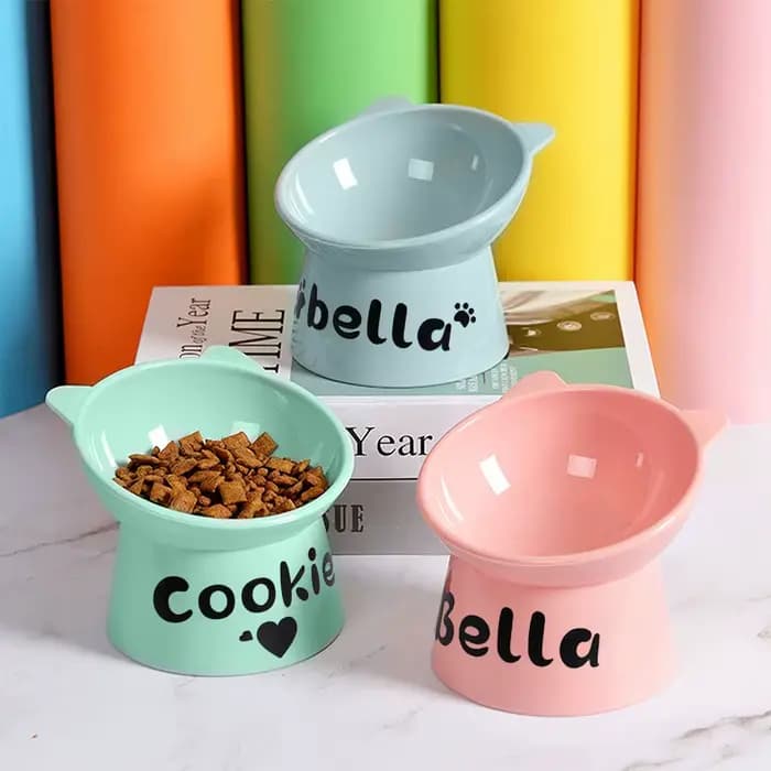 Bol de nourriture personnalisé pour chat, pied haut, pour chien et chat, impression gratuite, nom d'animal de compagnie, bols d'eau, tasse d'alimentation pour animaux de compagnie, accessoires pour ch
