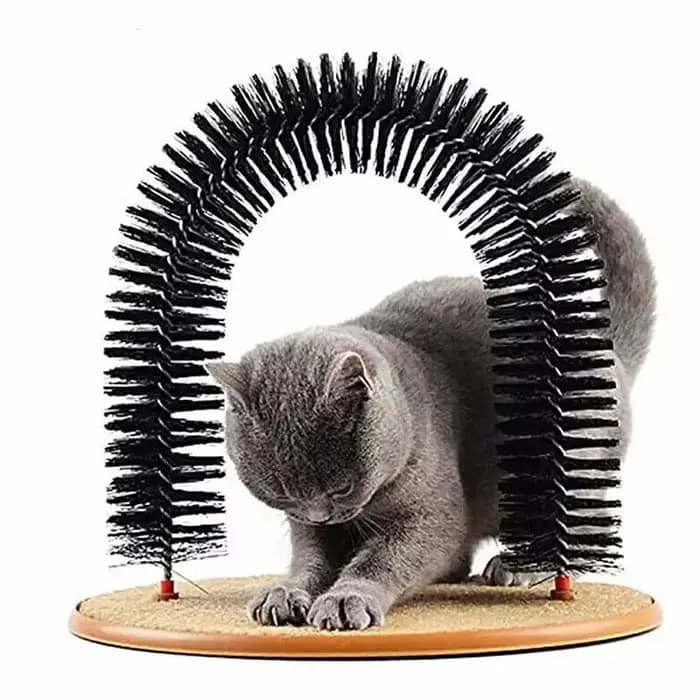 Arche de jeu pour chat avec brosse de massage et grattoir