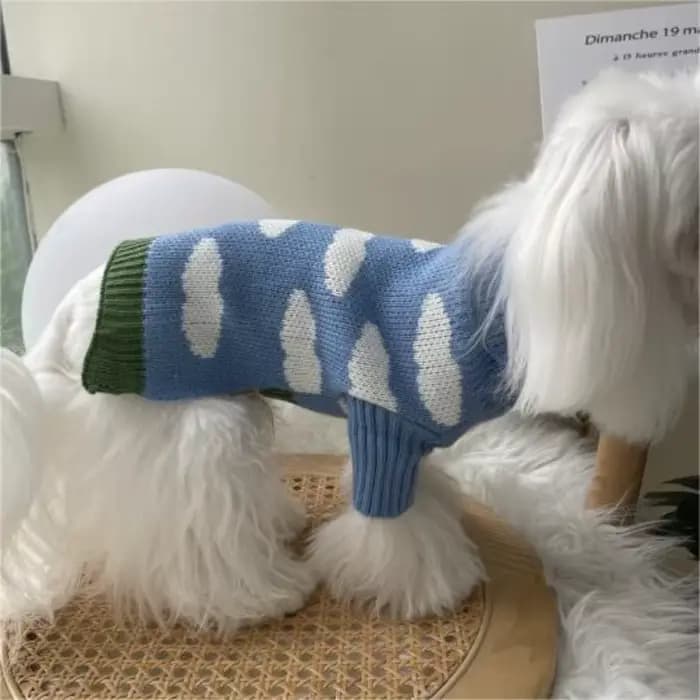 Pull nuage pour chien, vêtements chauds pour chats au printemps