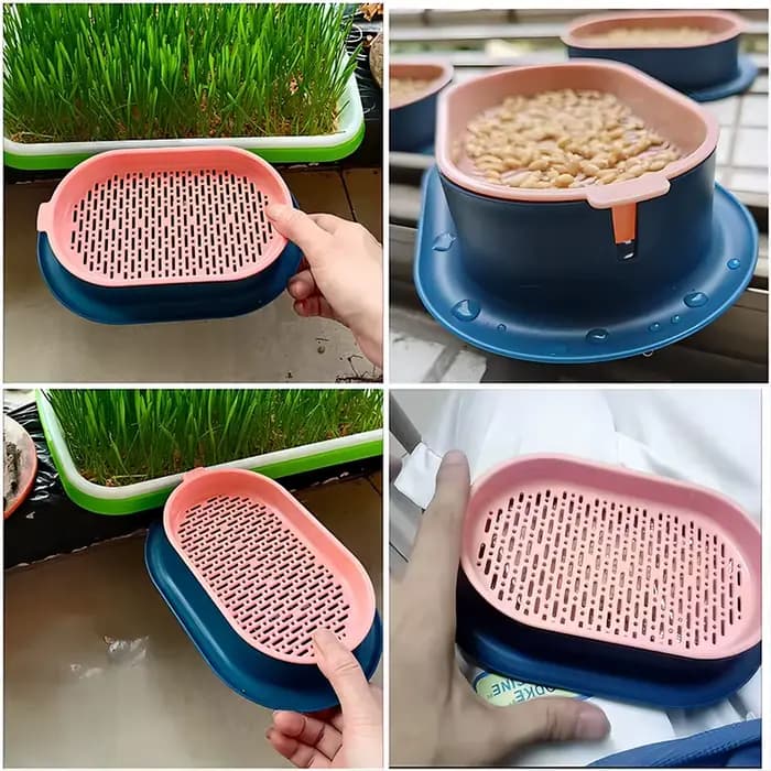 Plat de germe pour chat de compagnie, Pot de culture pour plantes hydroponiques, Pot d'herbe, boîte de Germination, plat de démarrage pour pépinière, boîte de culture en serre