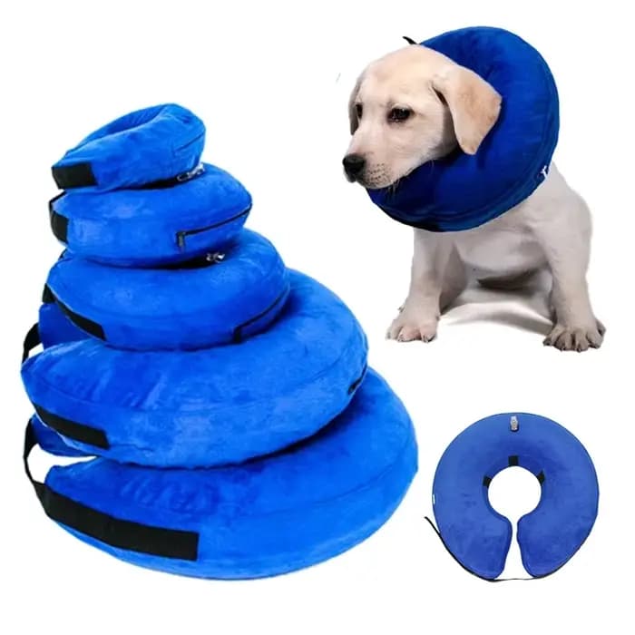 Collier gonflable anti-morsure pour chien